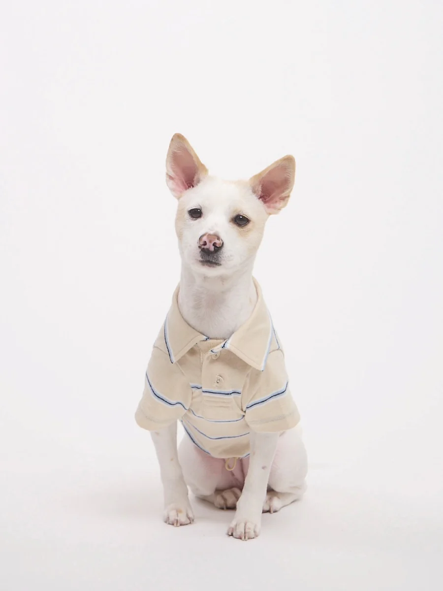 BESTIE TERRY PK TEE - Image 19