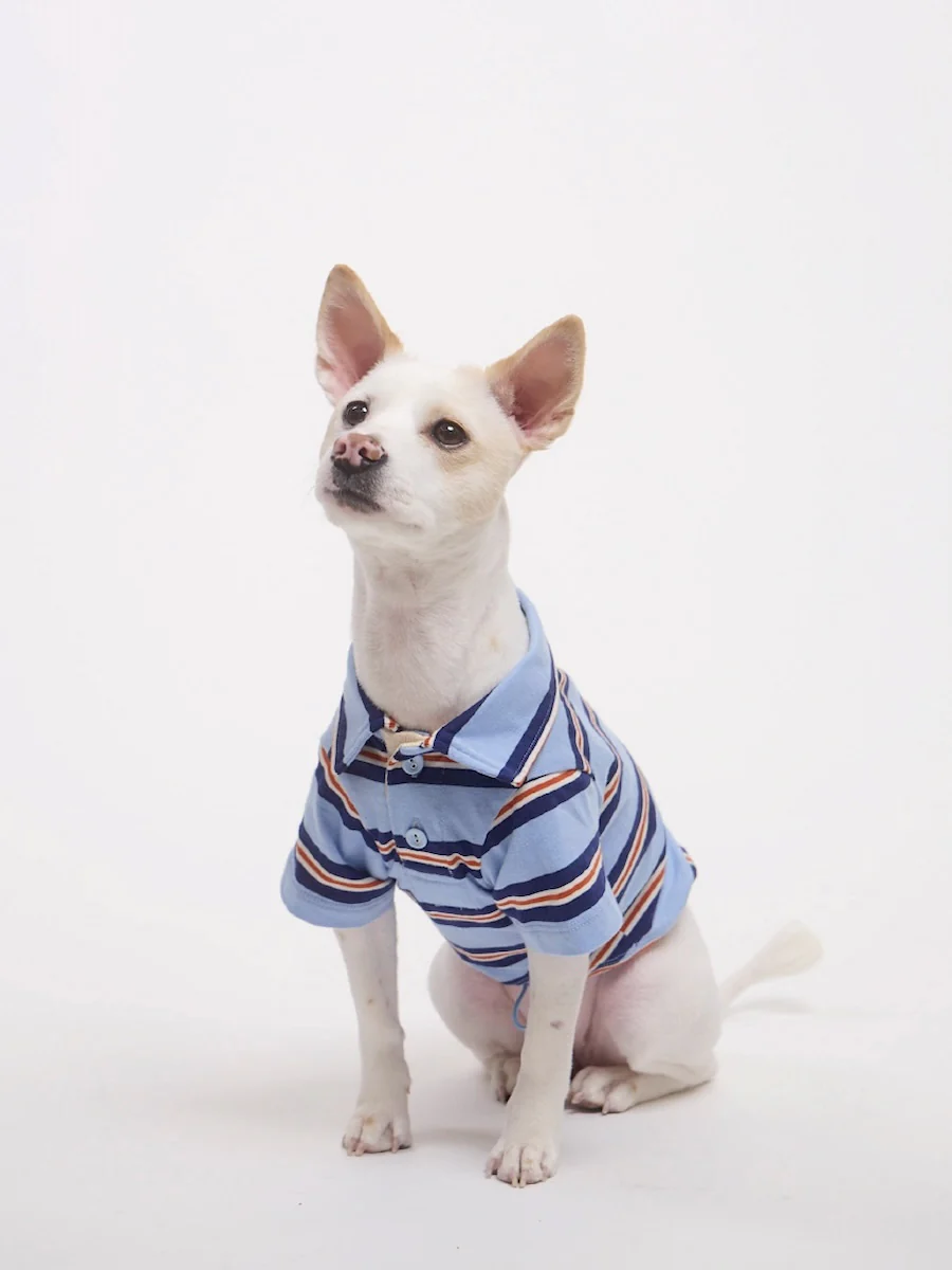 BESTIE TERRY PK TEE - Image 6
